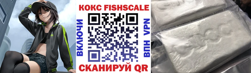 Купить где  Бакал  COCAIN 97% 