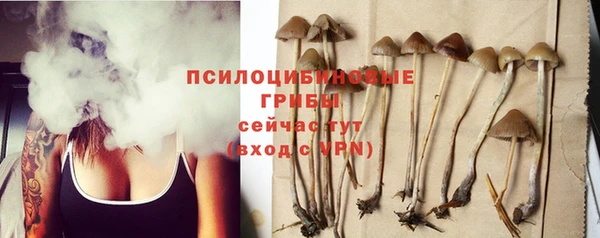 прущий лед Горнозаводск
