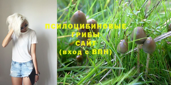 а пвп мука Горняк